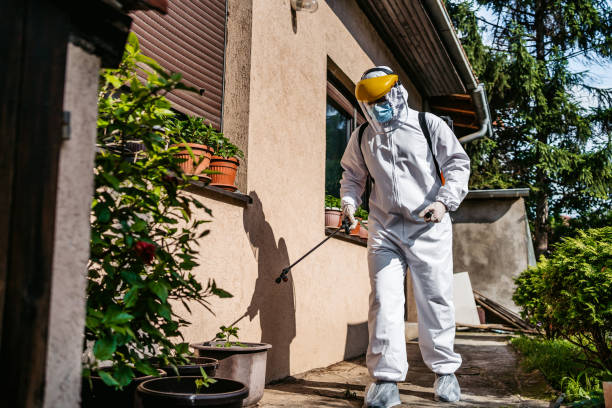 Best Wasp Removal Services  in Rosedale, MD