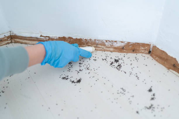 Best Pest Removal Services  in Rosedale, MD